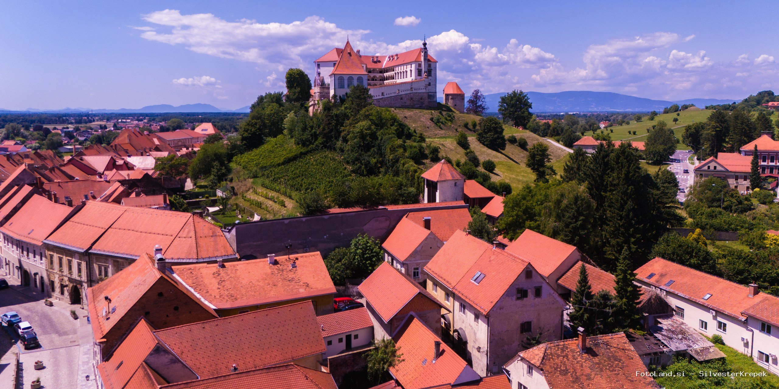 Ptujski grad